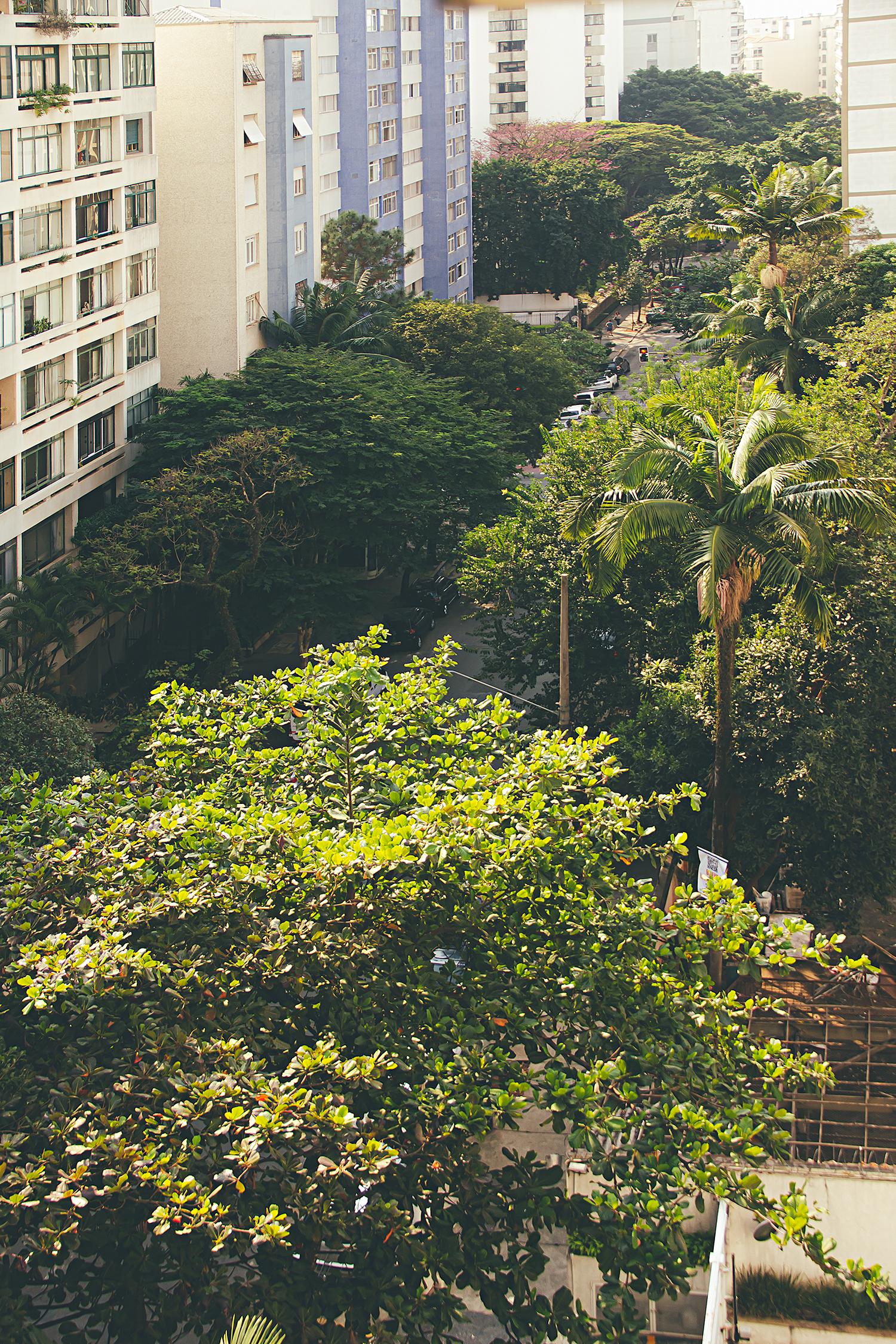 Vista do consultório